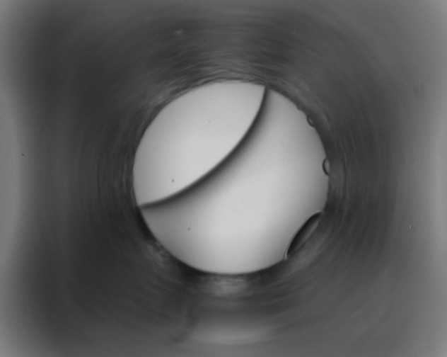 X0000088200719200705221722