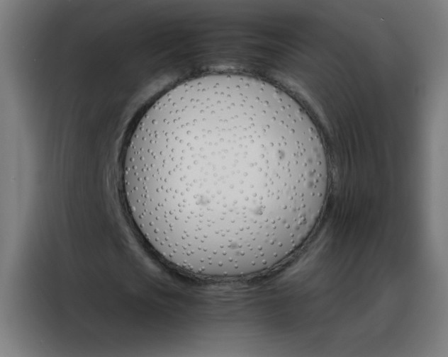 X0000088200721200705221722