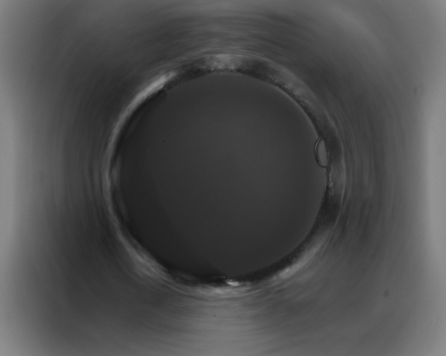 X0000088200722200705221722