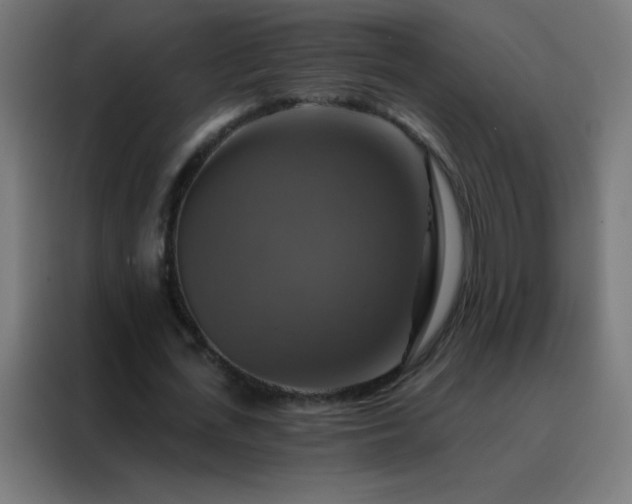 X0000088200723200705221722