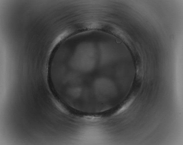 X0000088200725200705221722