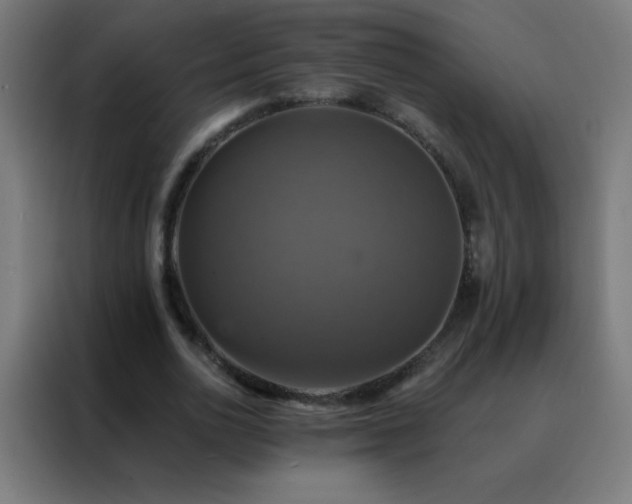 X0000088200726200705221722