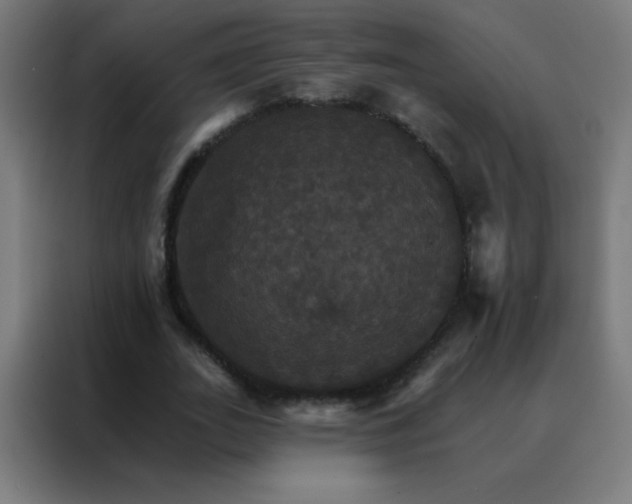 X0000088200727200705221722