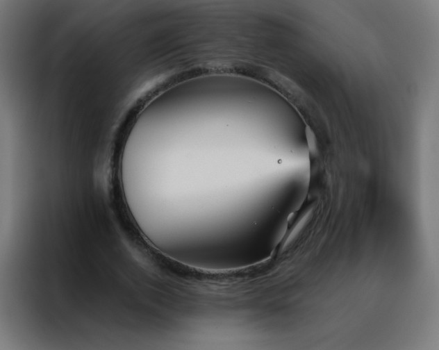 X0000088200728200705221722
