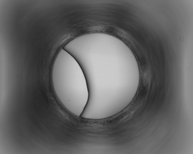 X0000088200729200705221722