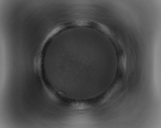 X0000088200730200705221722