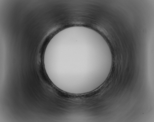 X0000088200731200705221722