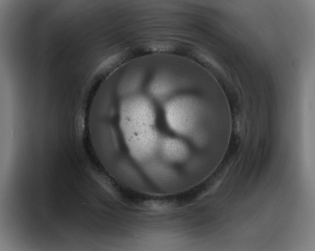 X0000088200733200705221722