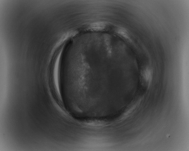 X0000088200734200705221722