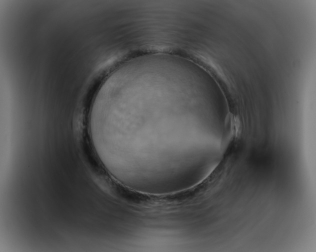 X0000088200736200705221722