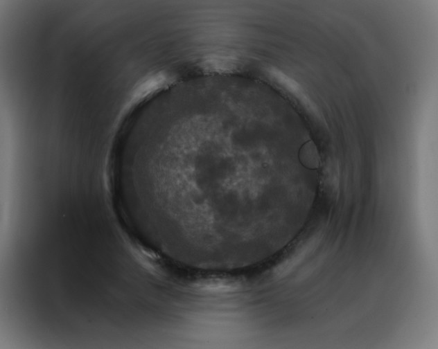 X0000088200738200705221722
