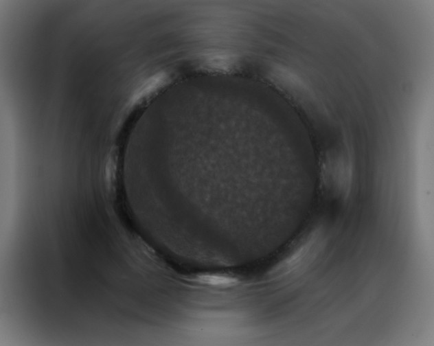 X0000088200739200705221722