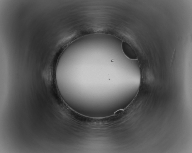 X0000088200740200705221722