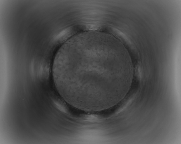 X0000088200741200705221722