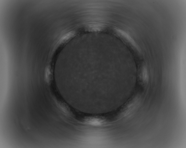 X0000088200743200705221722