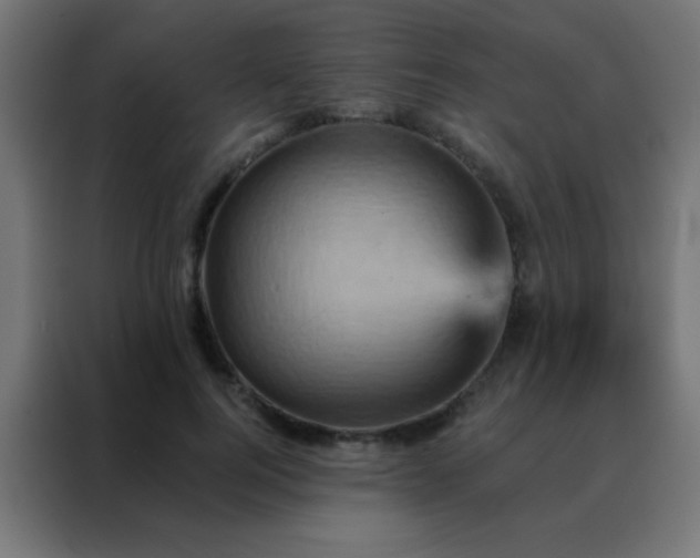 X0000088200744200705221722