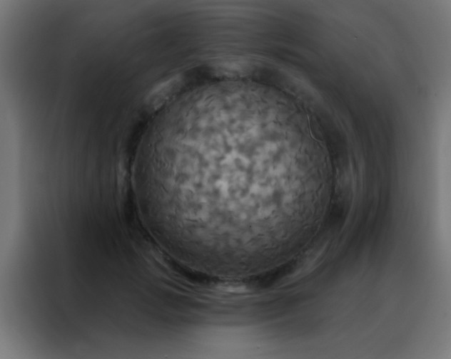 X0000088200749200705221722