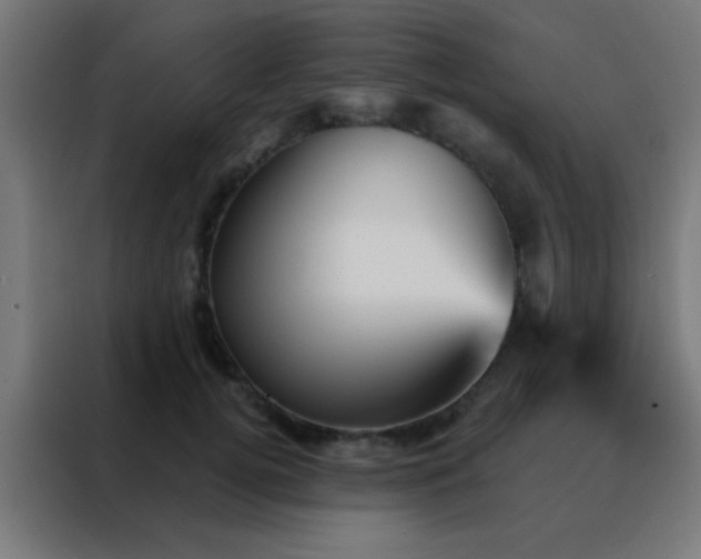 X0000088200752200705221722