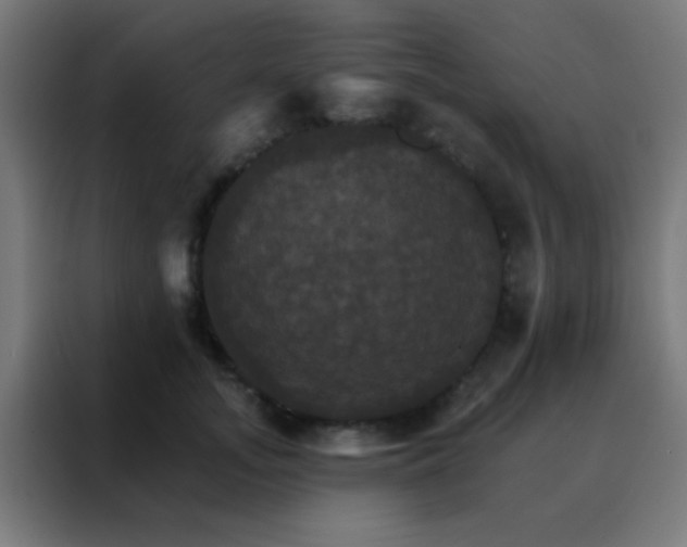 X0000088200755200705221722