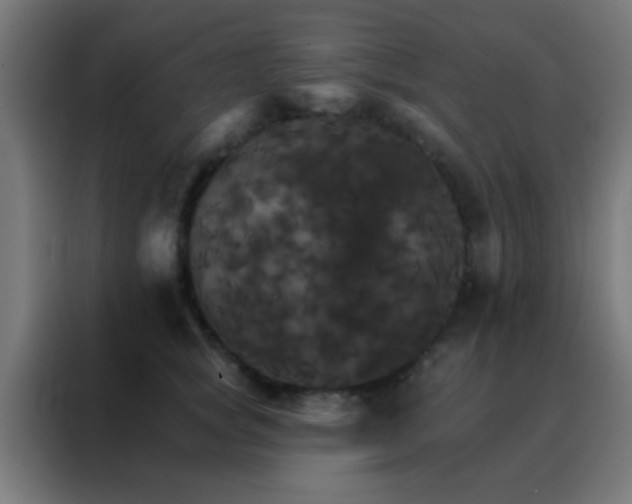 X0000088200757200705221722