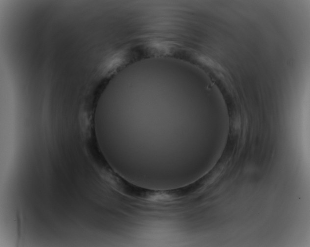 X0000088200759200705221722