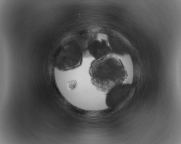X0000088200761200705221722