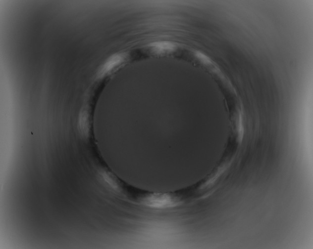 X0000088200762200705221722