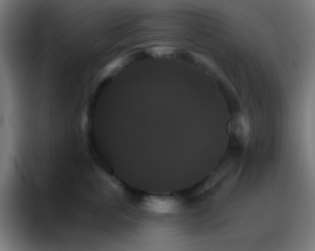 X0000088200763200705221722