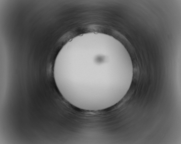 X0000088200765200705221722