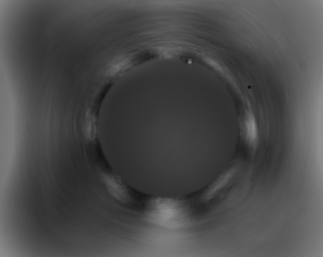 X0000088200766200705221722