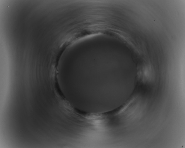 X0000088200767200705221722