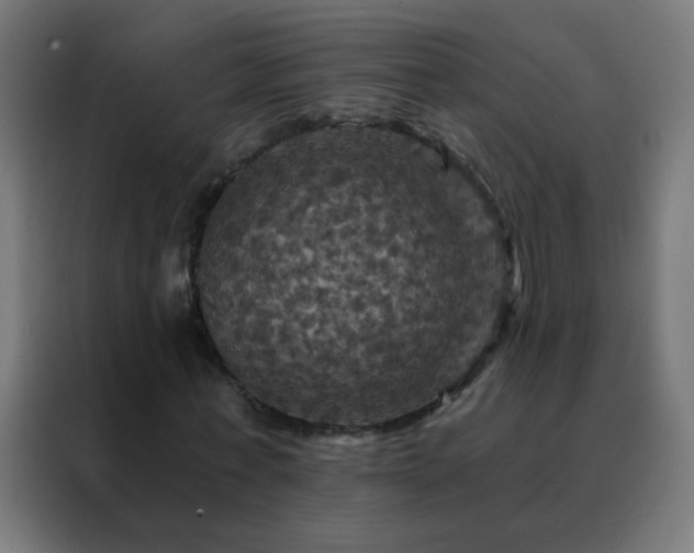 X0000088200771200705221722