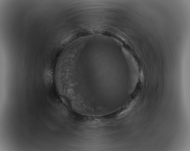 X0000088200772200705221722