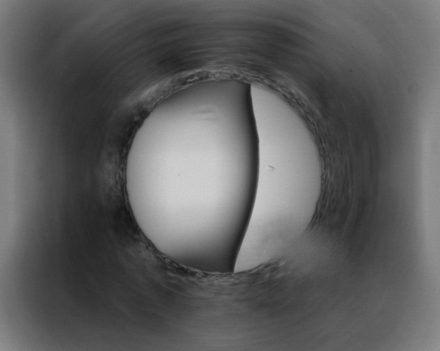X0000088200773200705221722