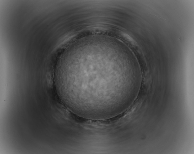 X0000088200774200705221722