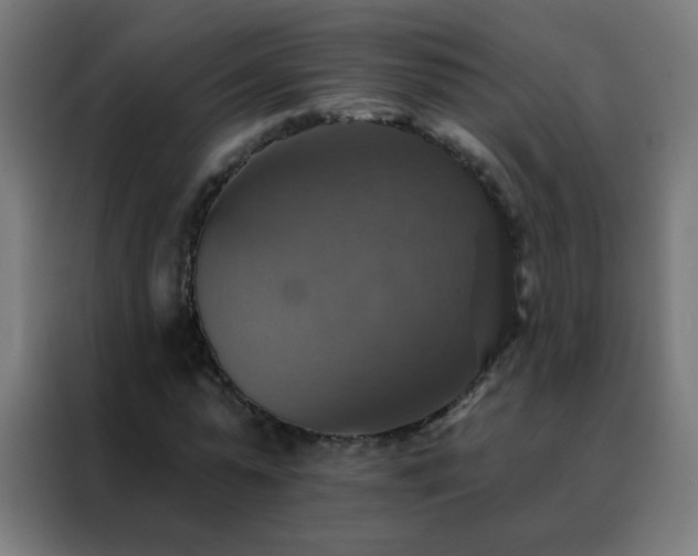 X0000088200775200705221722
