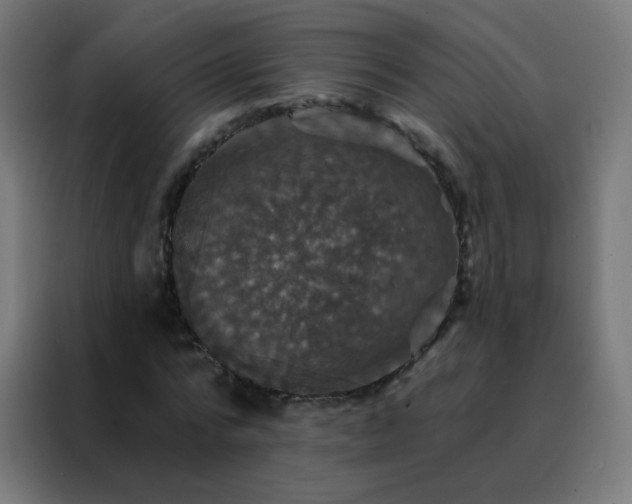 X0000088200776200705221722