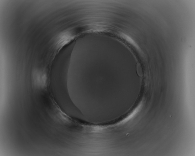 X0000088200777200705221722