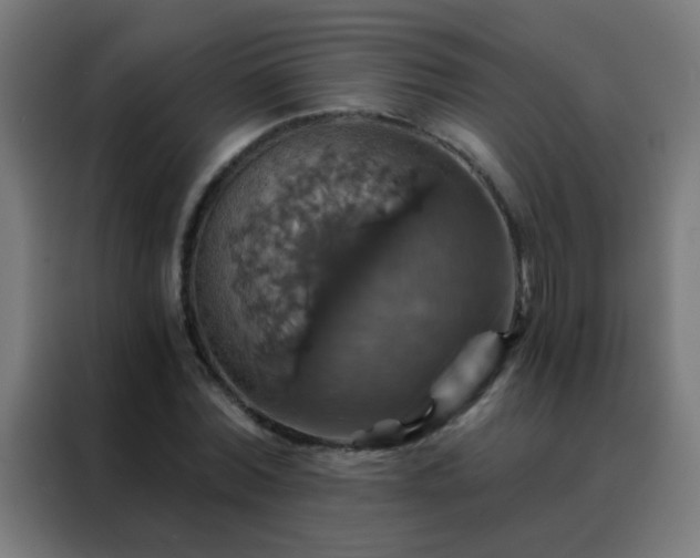X0000088200780200705221722