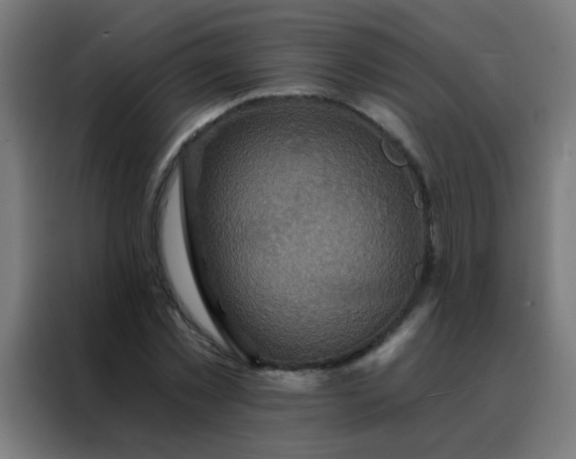X0000088200781200705221722