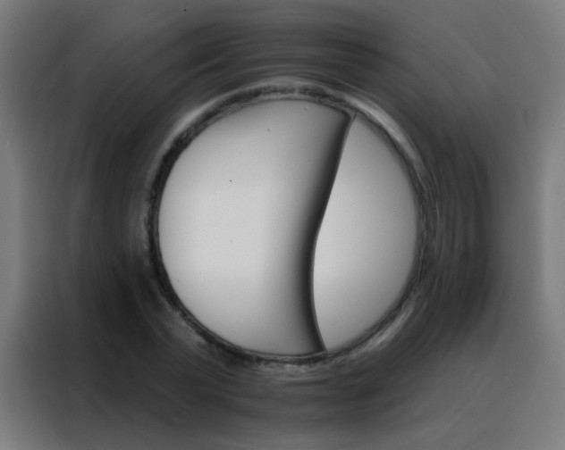 X0000088200783200705221722