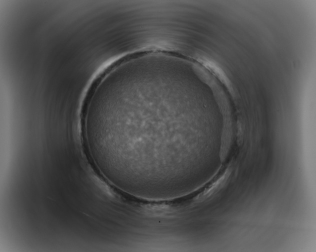X0000088200784200705221722