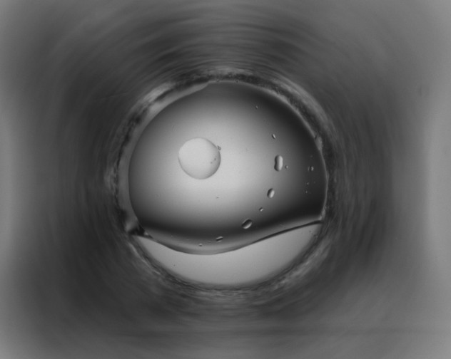 X0000088200785200705221722