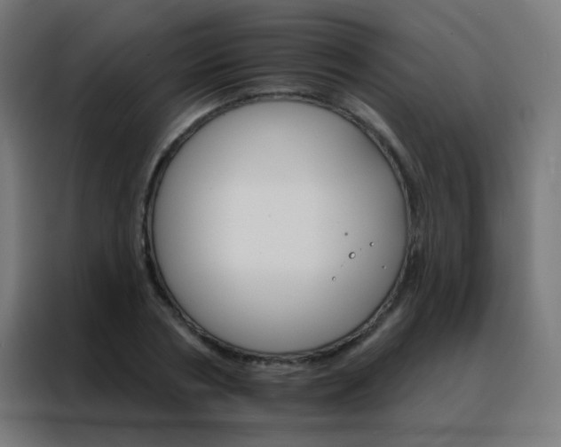 X0000088200786200705221722