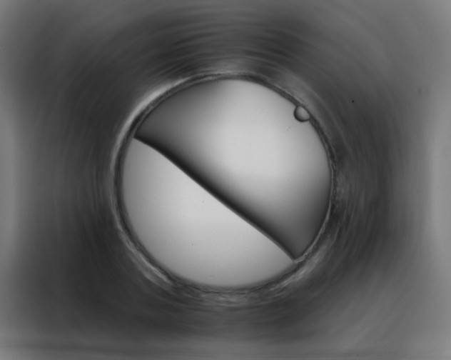 X0000088200787200705221722