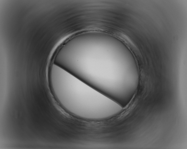 X0000088200788200705221722