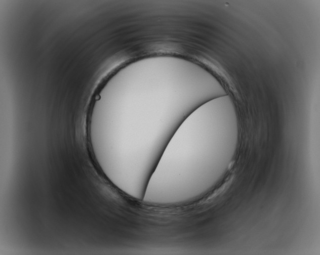 X0000088200790200705221722