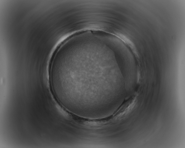 X0000088200792200705221722