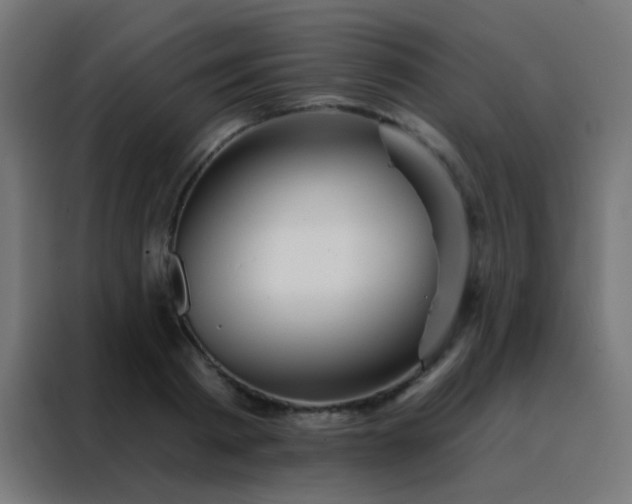 X0000088200793200705221722