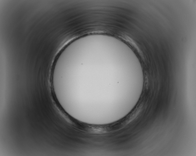 X0000088200794200705221722